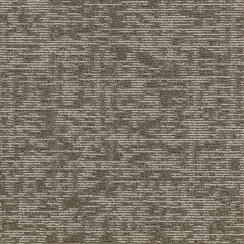 Hornbeam carpet tiles by Paragon