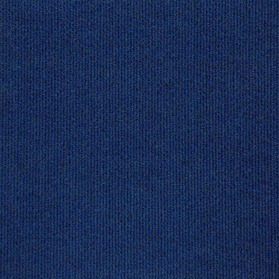 Blue Carpet Tiles