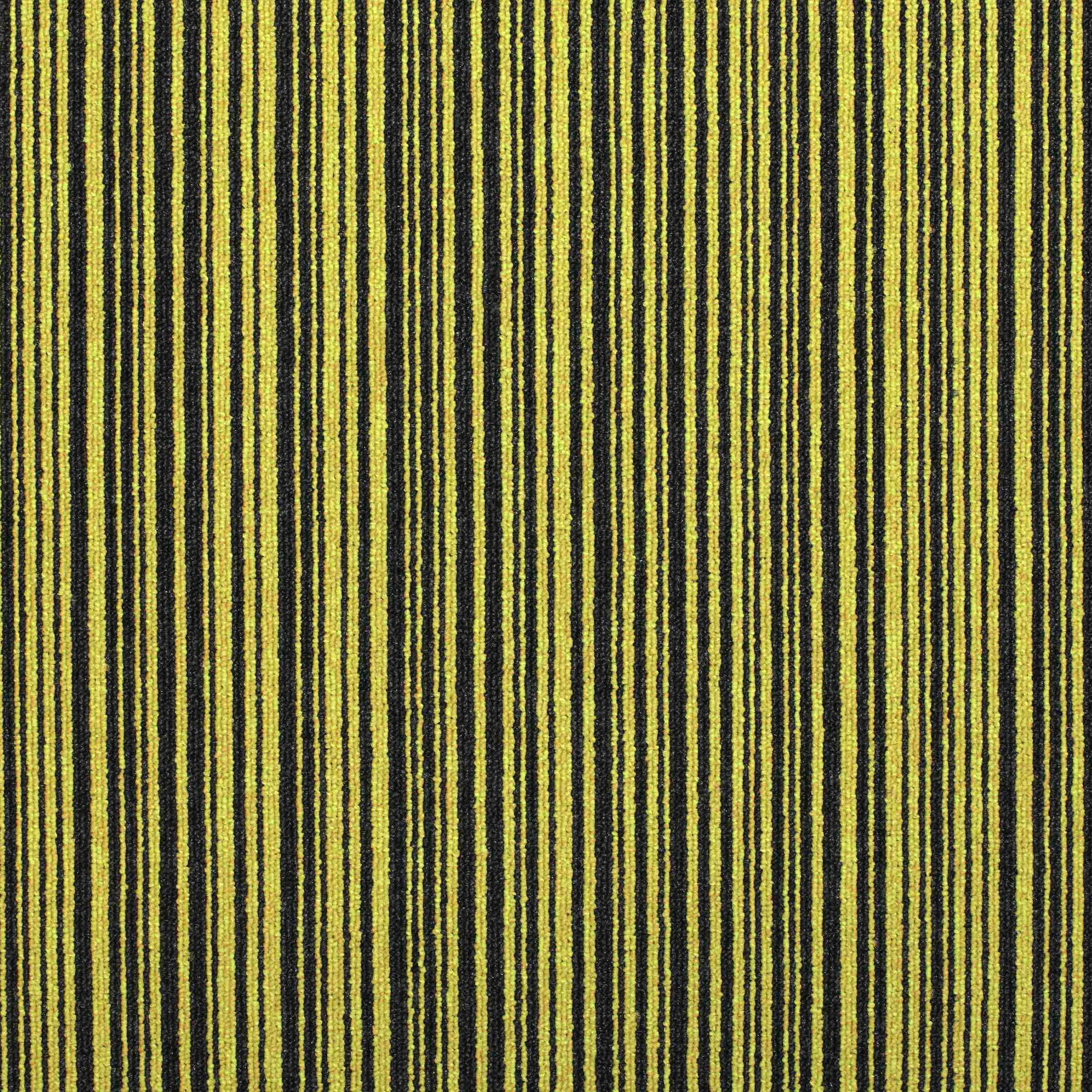 Paragon Codec Pathway carpet tile