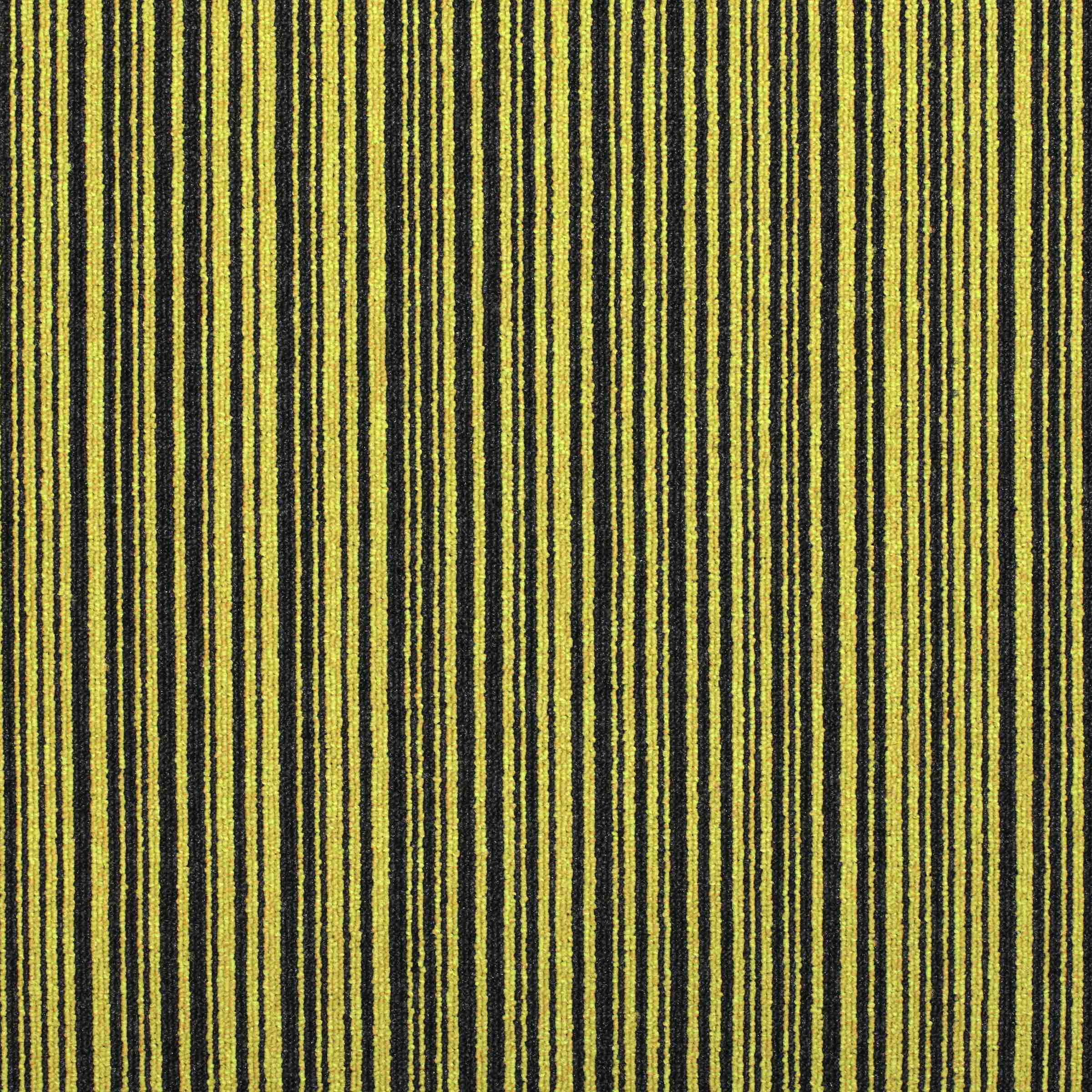 Paragon Codec Pathway carpet tile