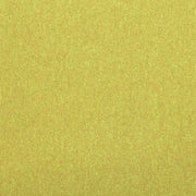 Paragon Codec Pathway Accent carpet tile