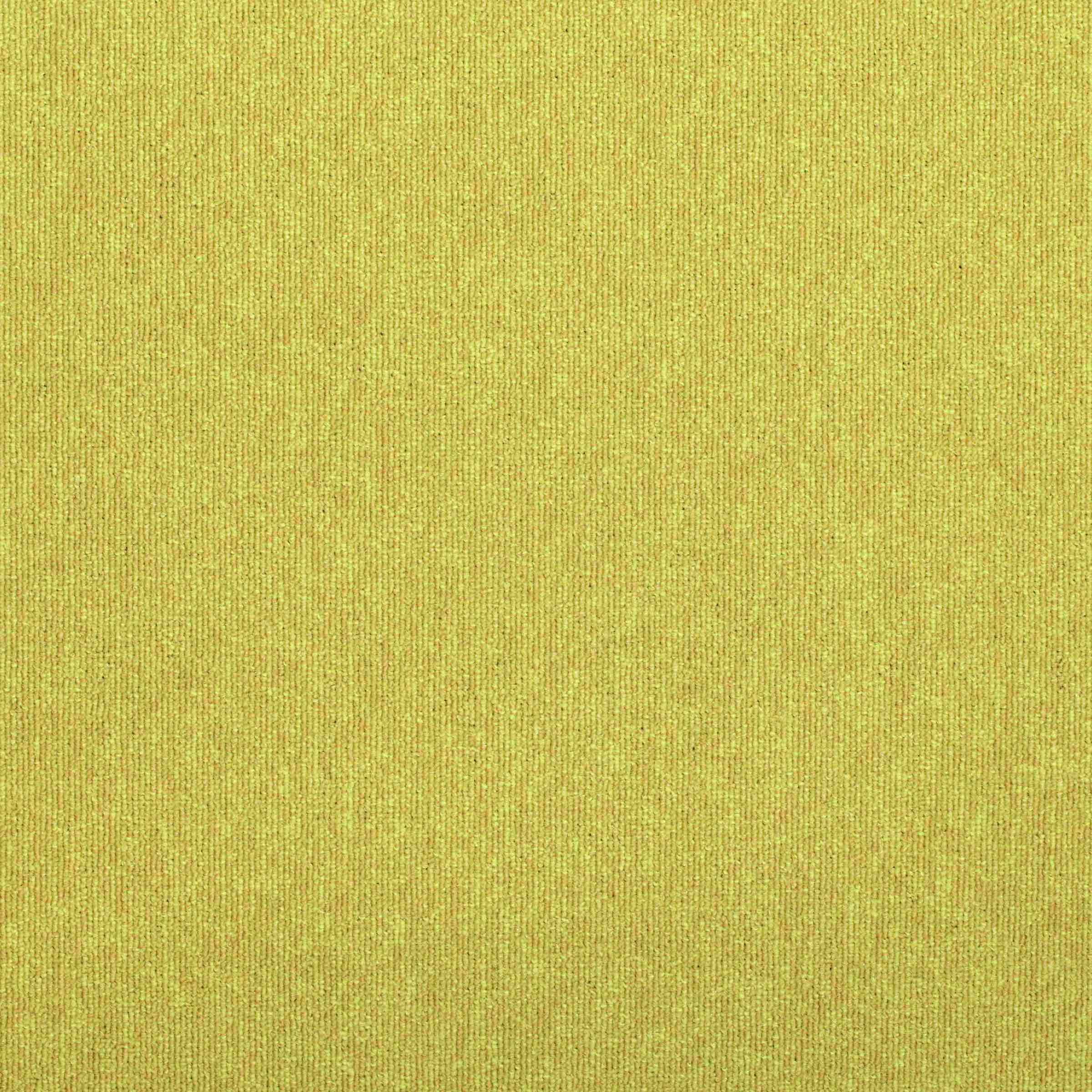 Paragon Codec Pathway Accent carpet tile