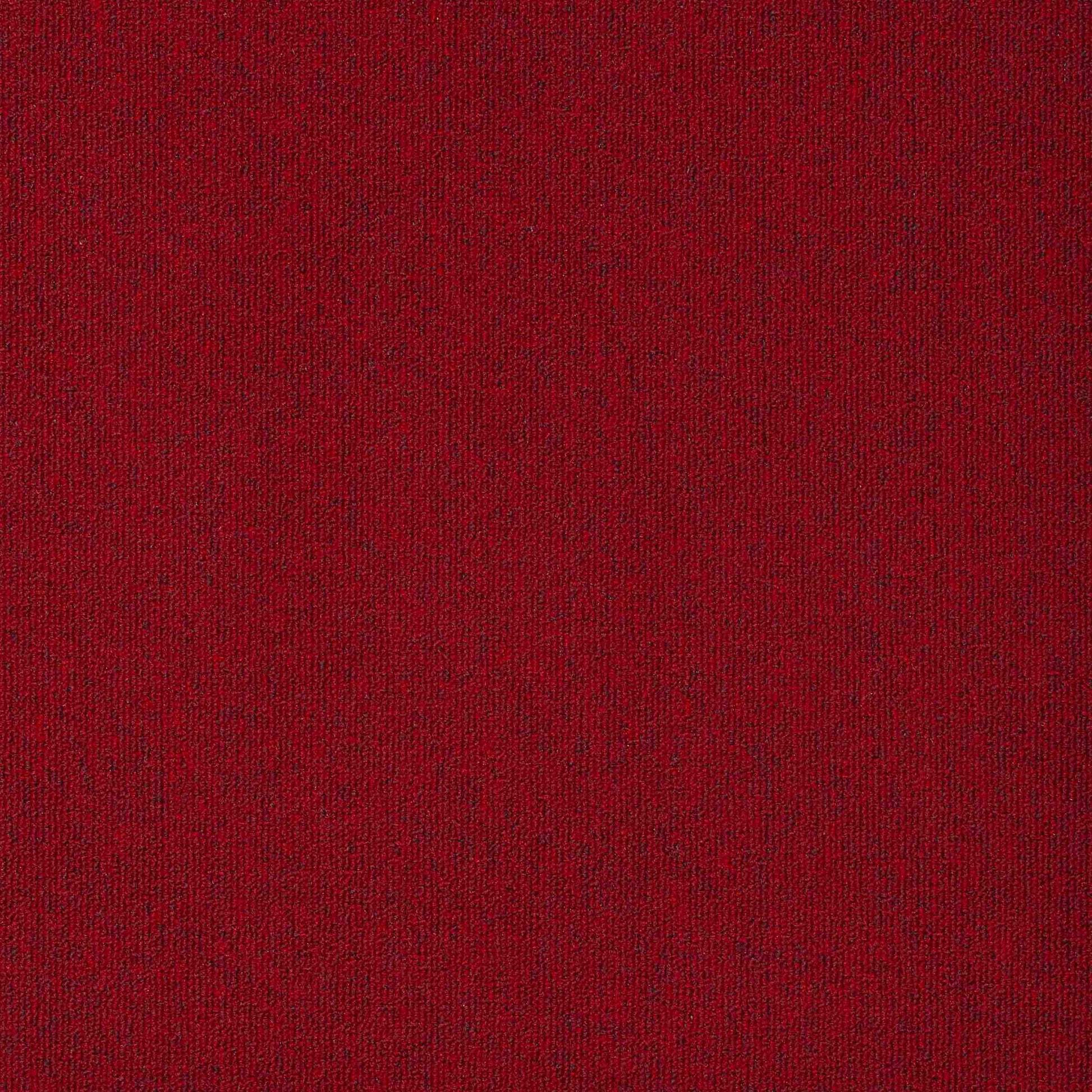 Paragon Diversity Blazer carpet tile
