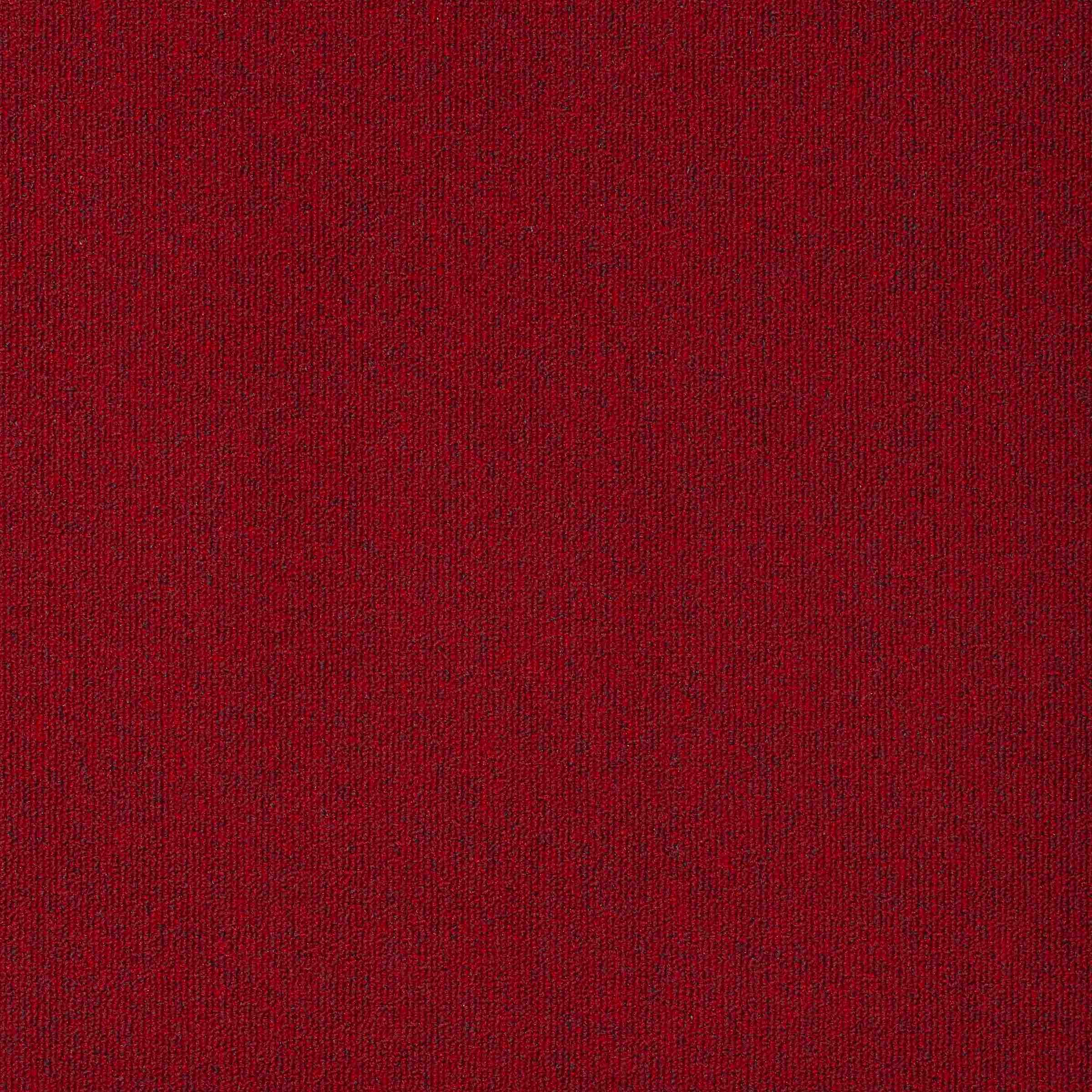 Paragon Diversity Blazer carpet tile