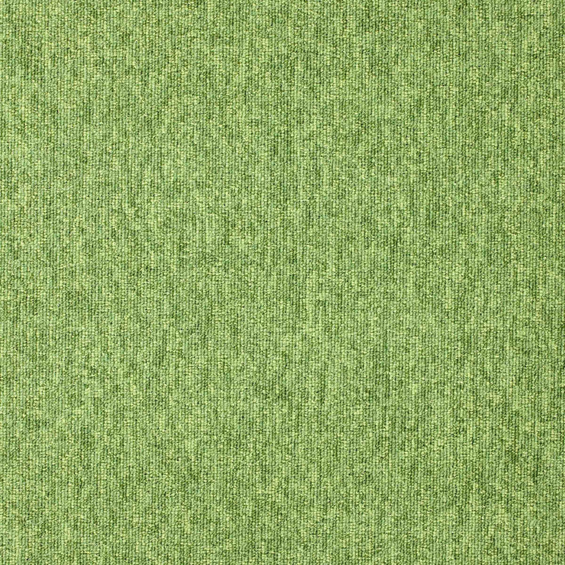 Paragon Diversity Grasshopper carpet tile