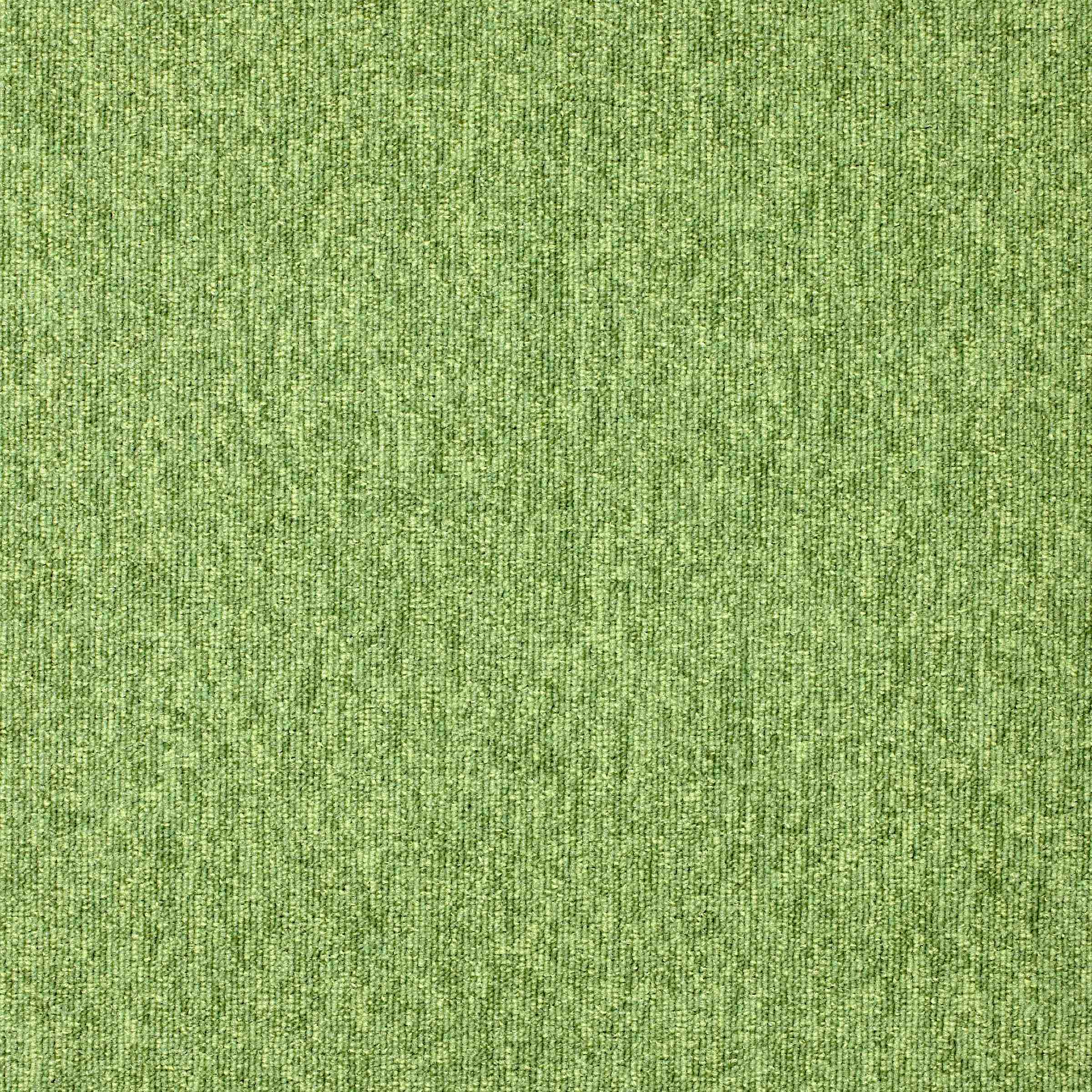 Paragon Diversity Grasshopper carpet tile