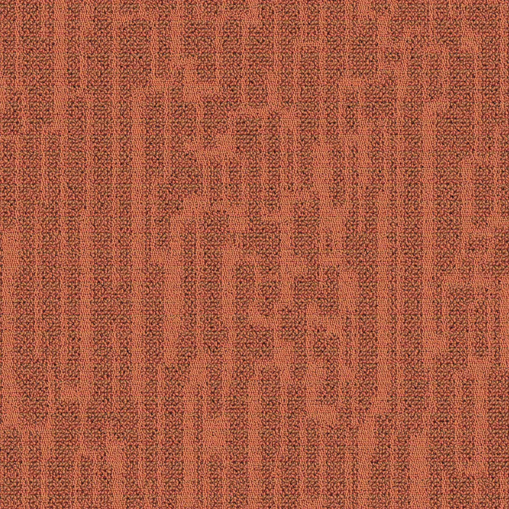 Paragon Greda Moccasin carpet tile