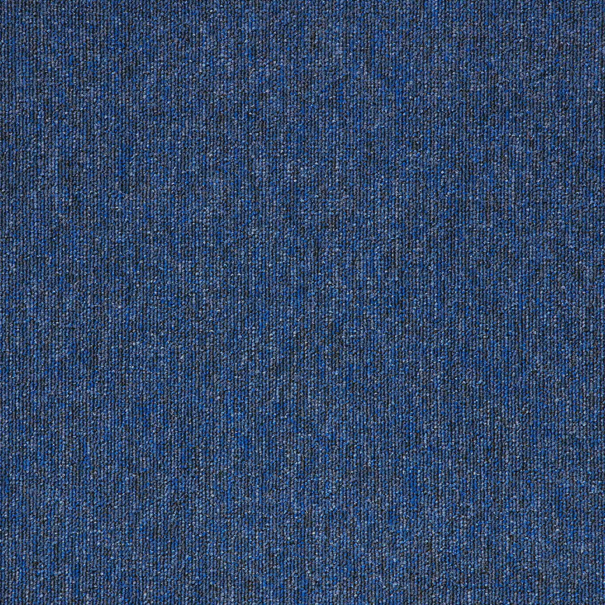 Paragon Macaw Sapphire carpet tile
