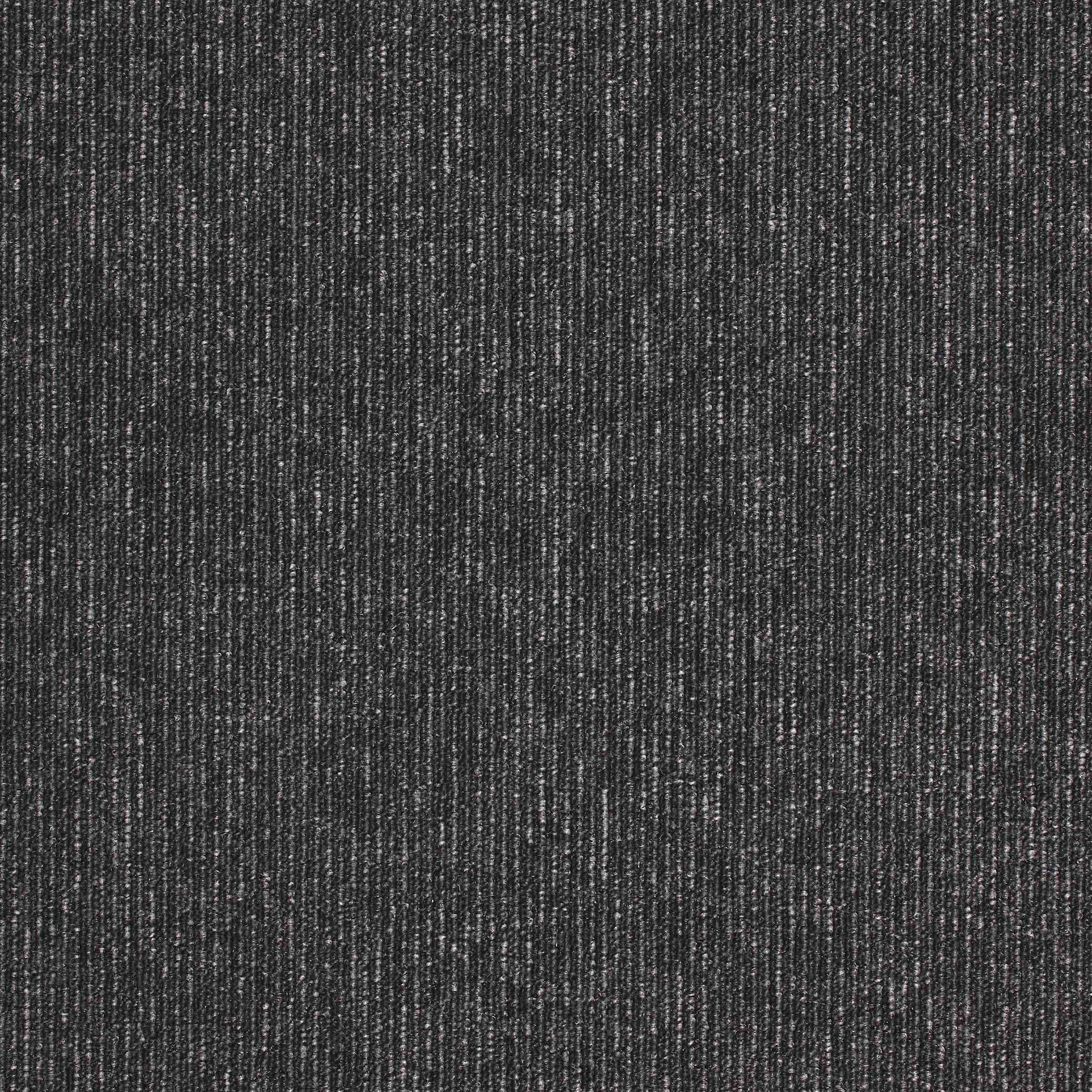 Paragon Macaw Stripe Jet / Quartz carpet tile