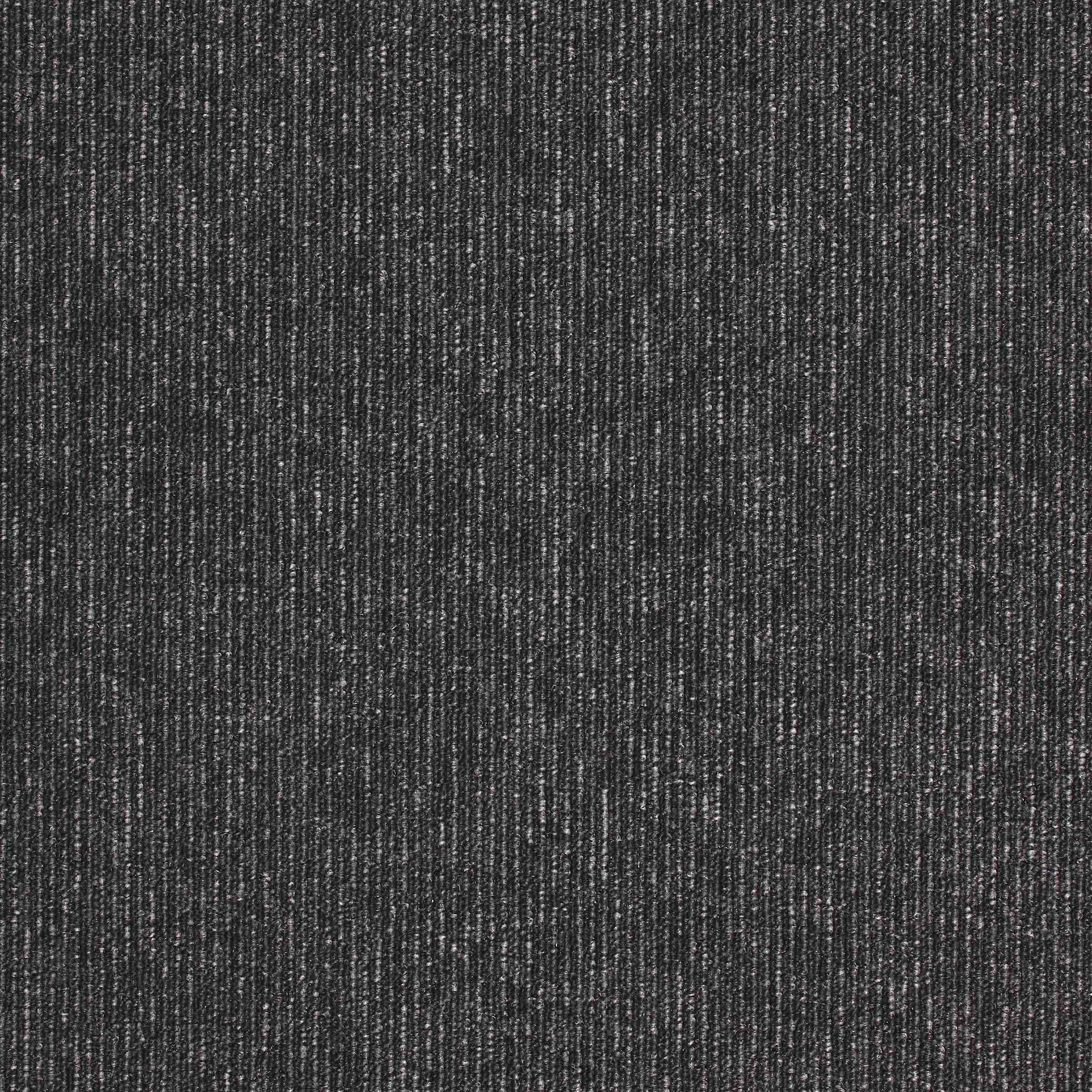 Paragon Macaw Stripe Jet / Quartz carpet tile