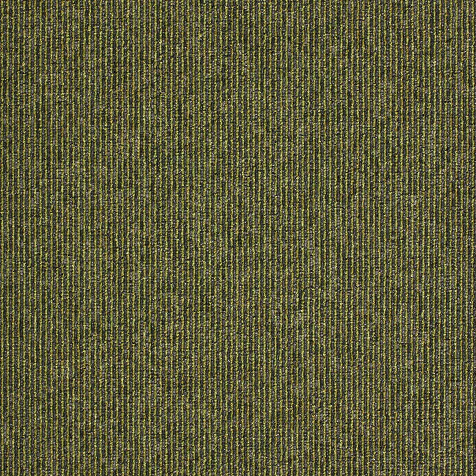 Paragon Macaw Stripe Lime / Quartz carpet tile