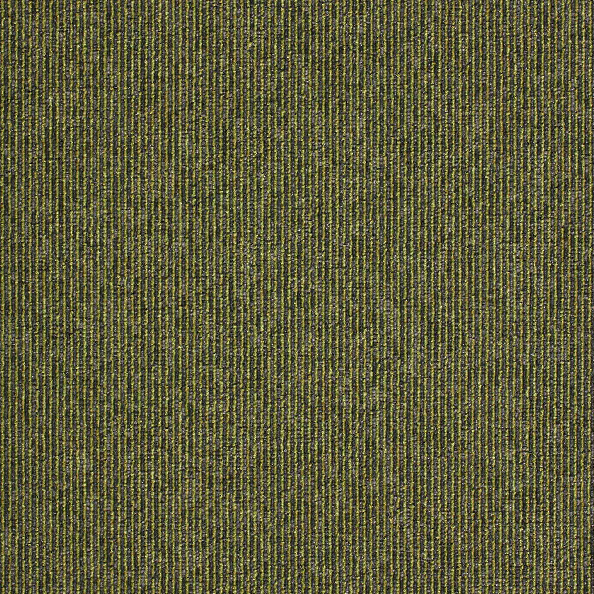Paragon Macaw Stripe Lime / Quartz carpet tile