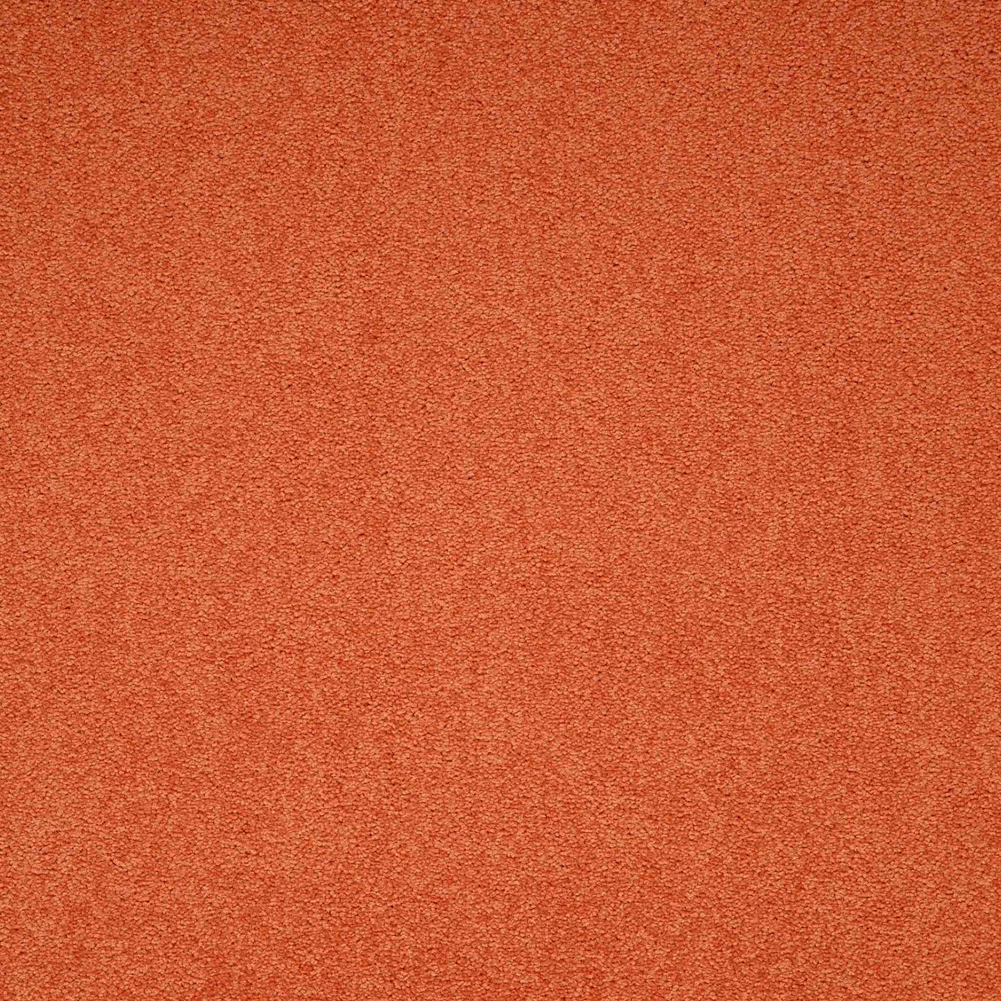 Paragon Maestro Auburn Falls carpet tile