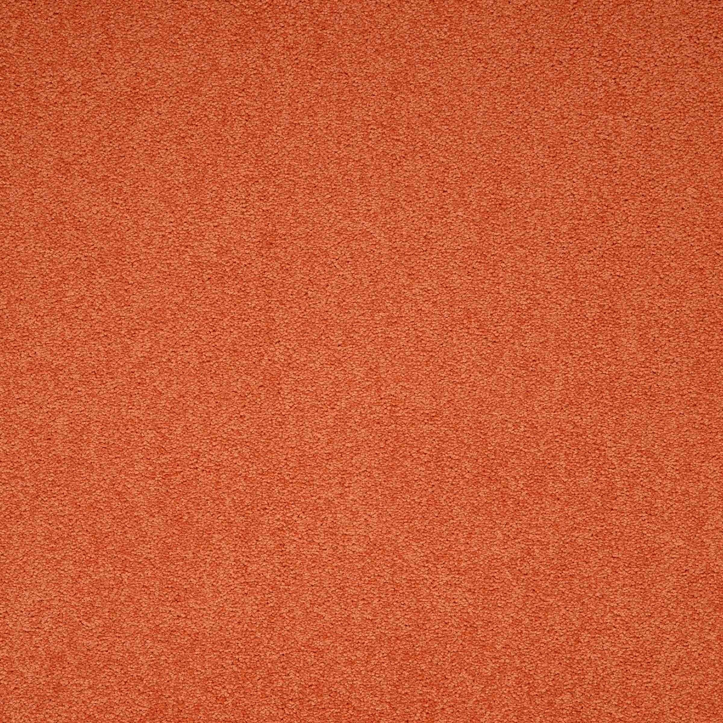 Paragon Maestro Auburn Falls carpet tile