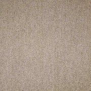 Paragon Maestro Bracken Salts carpet tile