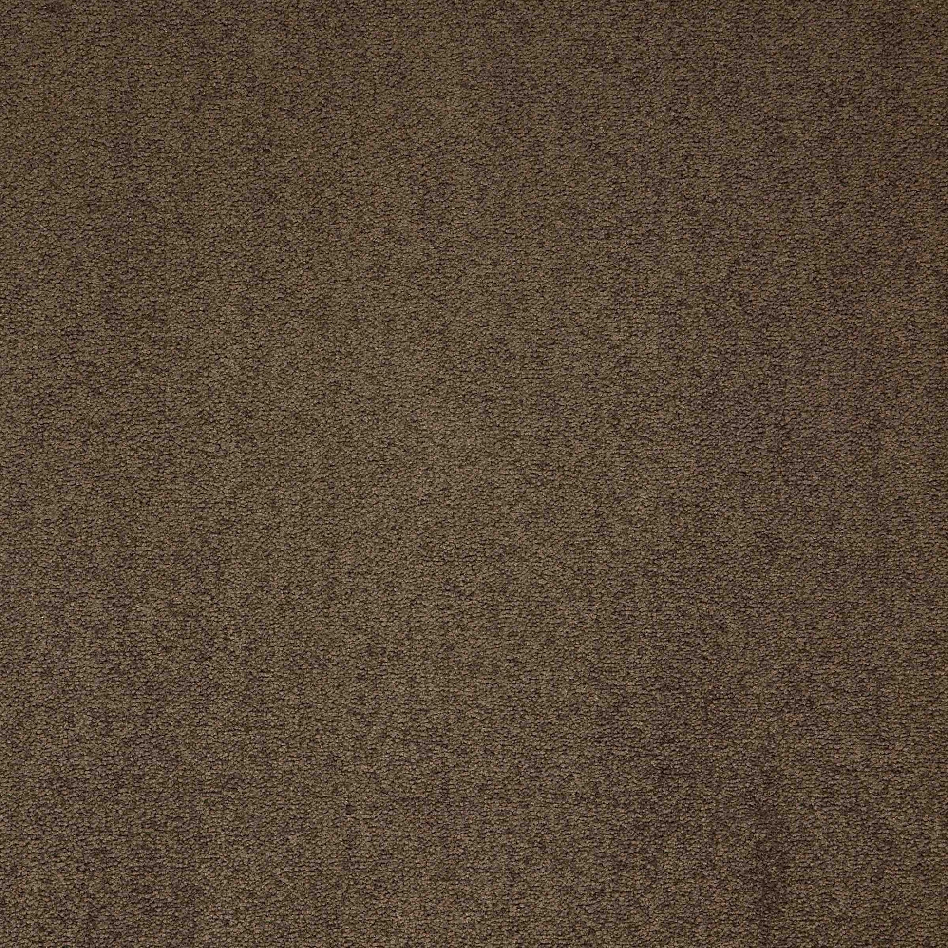 Paragon Maestro Cocoa Blush carpet tile