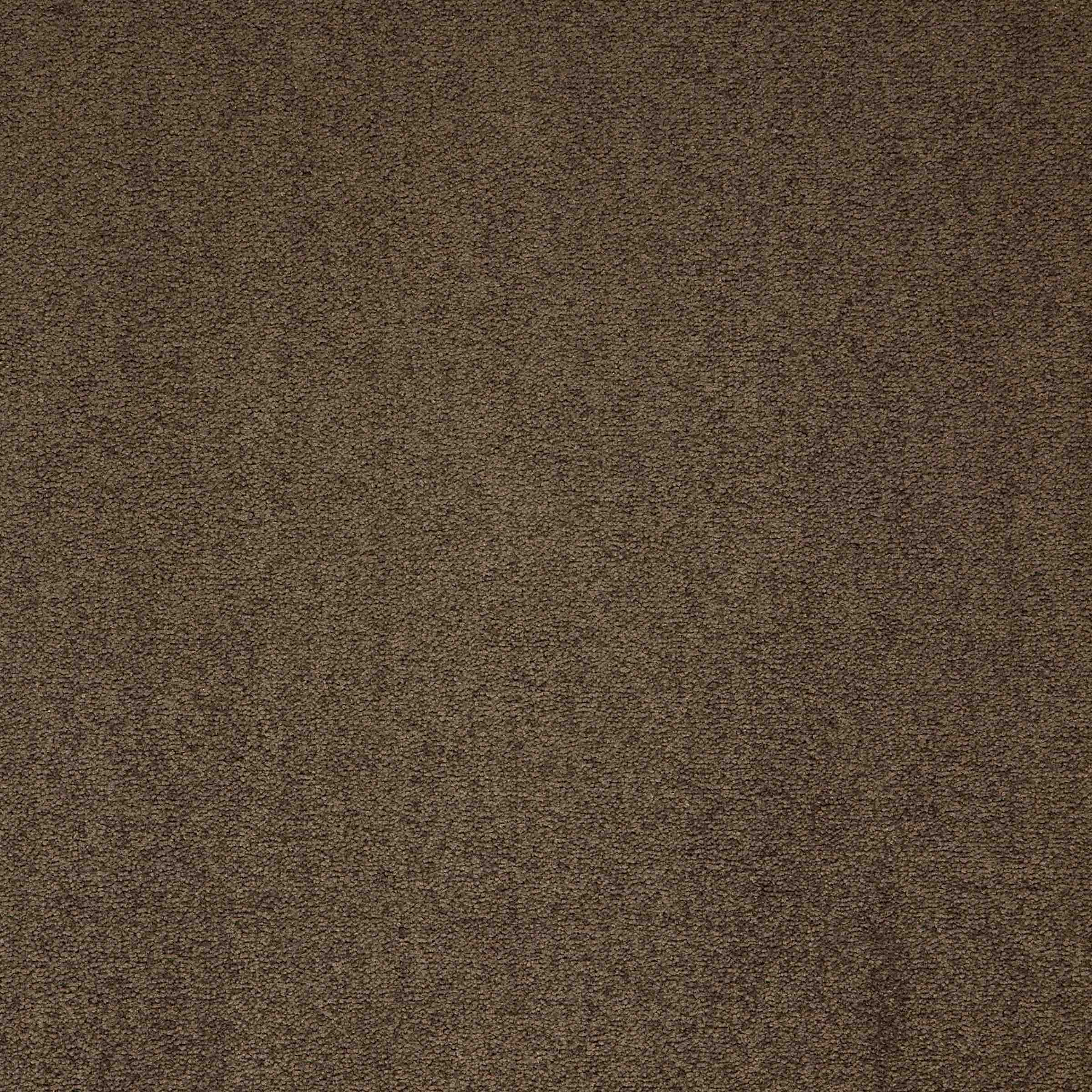 Paragon Maestro Cocoa Blush carpet tile