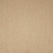 Paragon Maestro Earth Glaze carpet tile