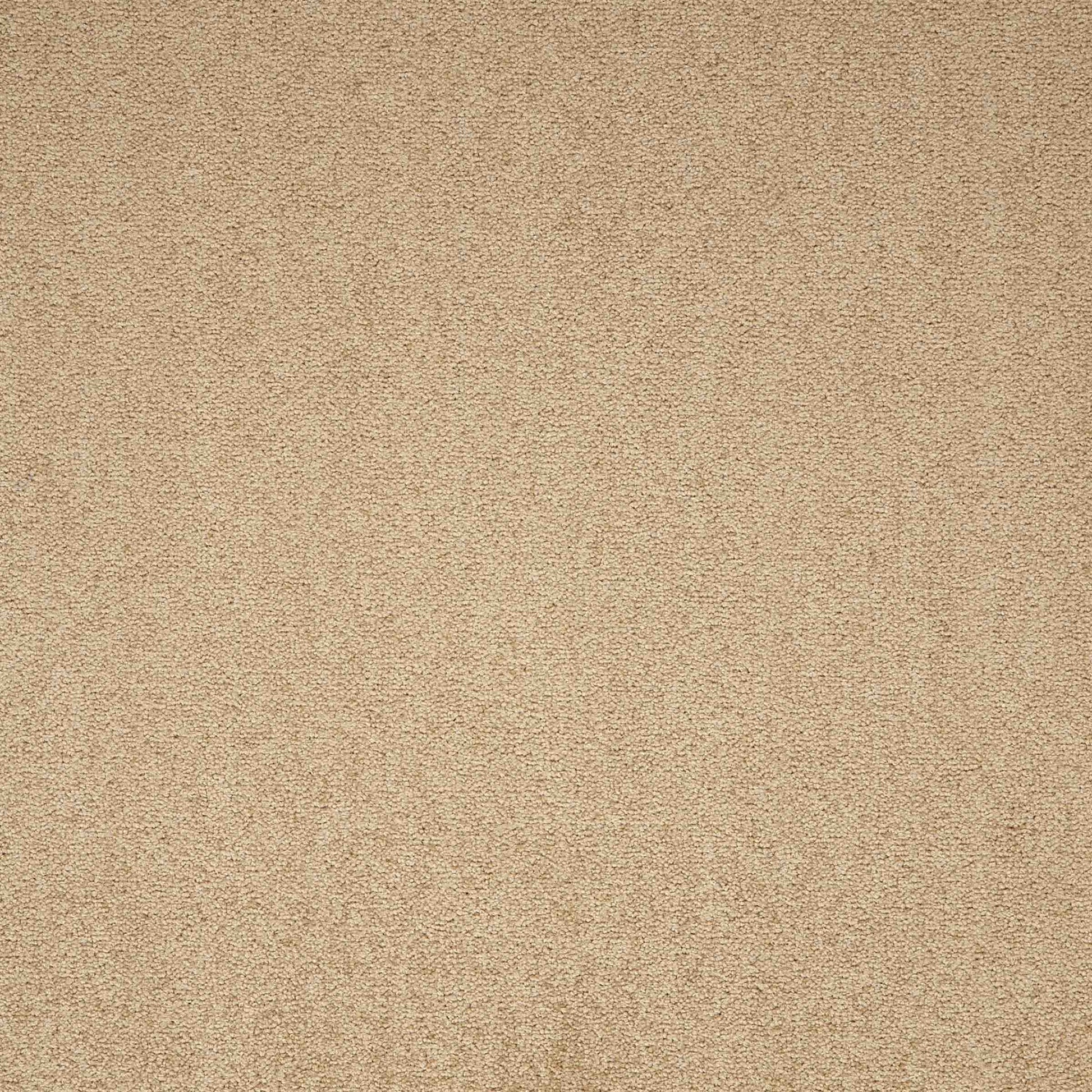 Paragon Maestro Earth Glaze carpet tile