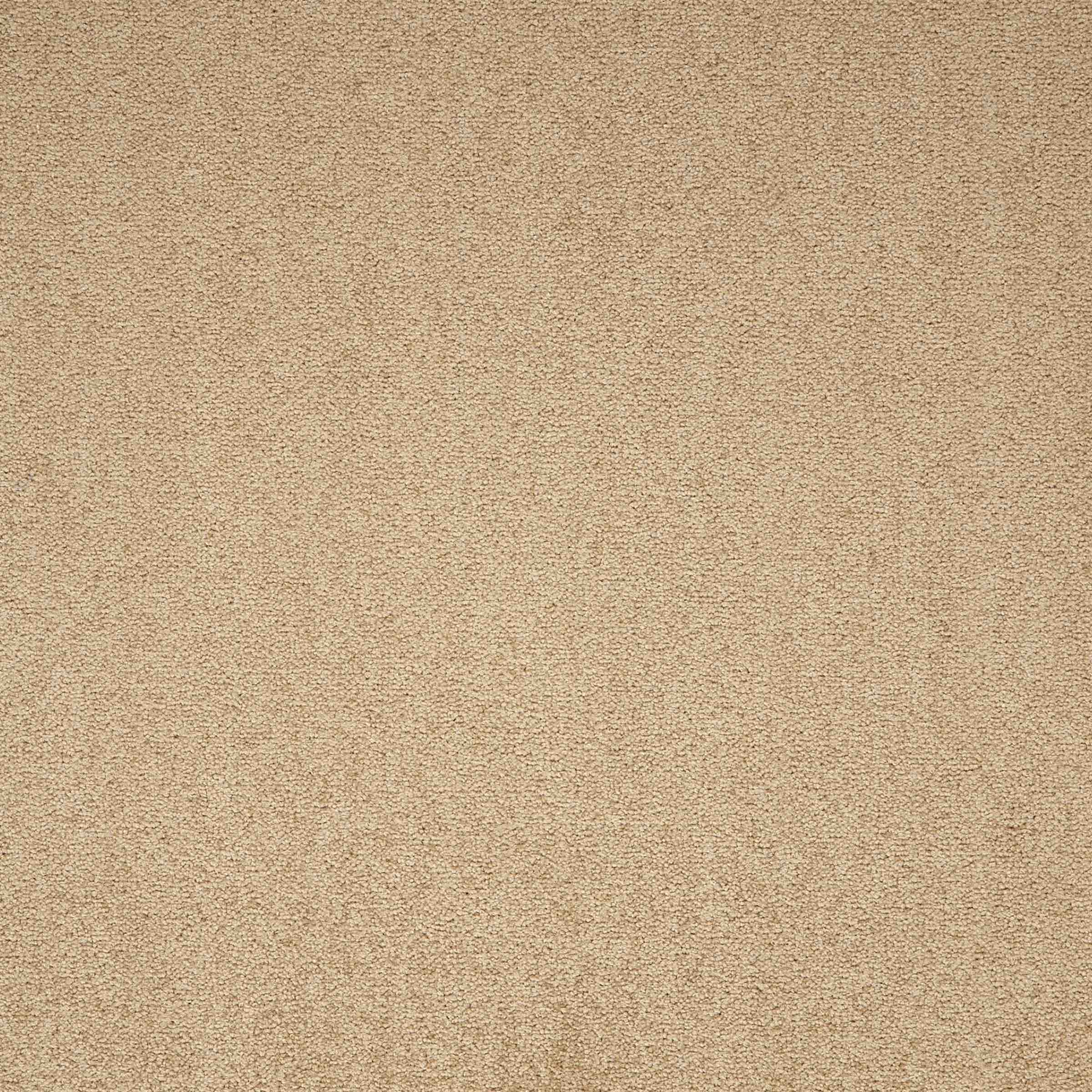 Paragon Maestro Earth Glaze carpet tile