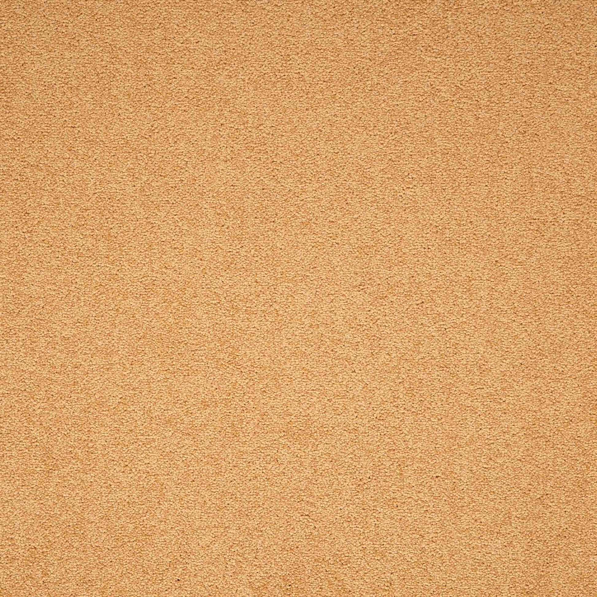 Paragon Maestro Gold carpet tile