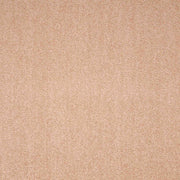 Paragon Maestro Nutshell carpet tile