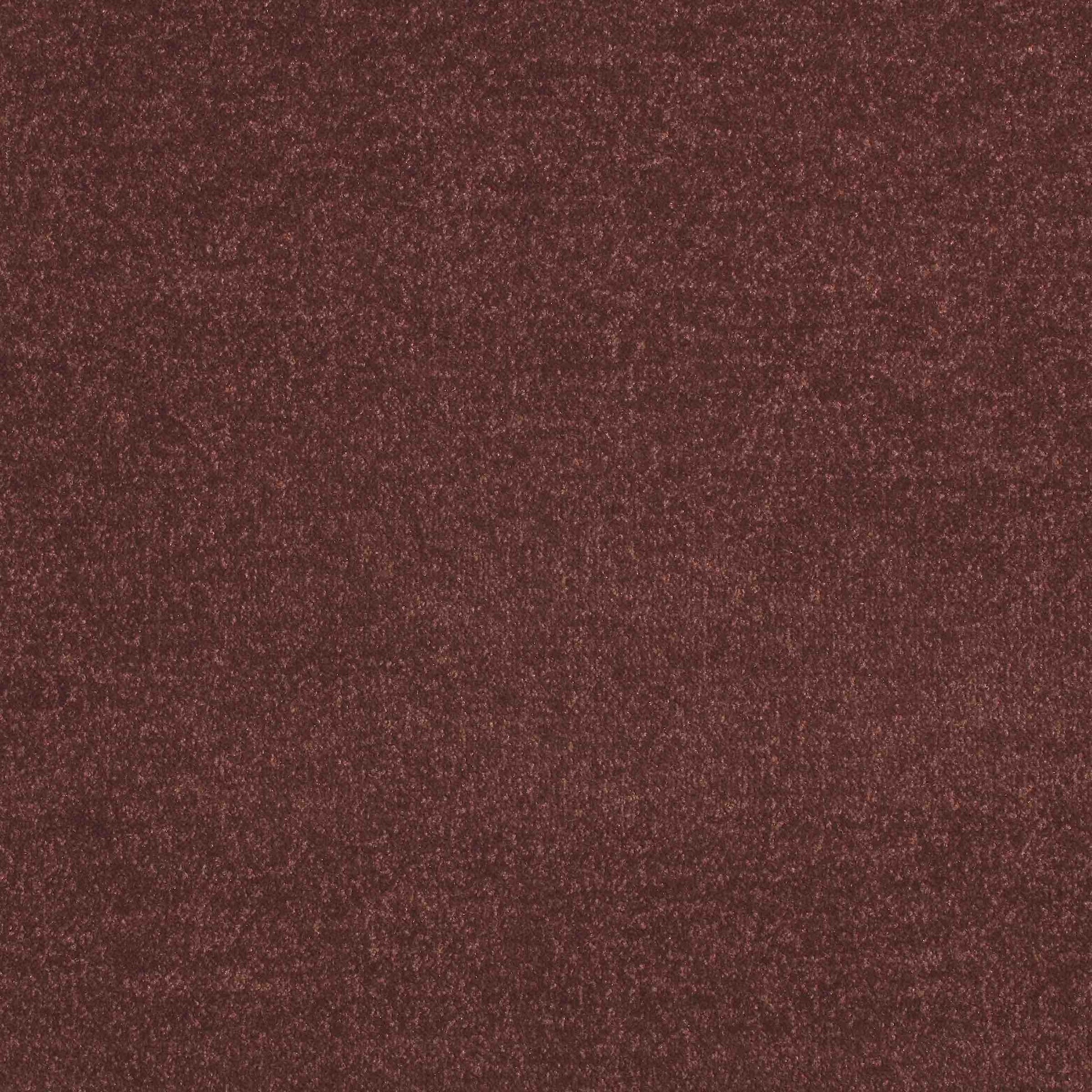 Paragon Maestro Sycamore carpet tile