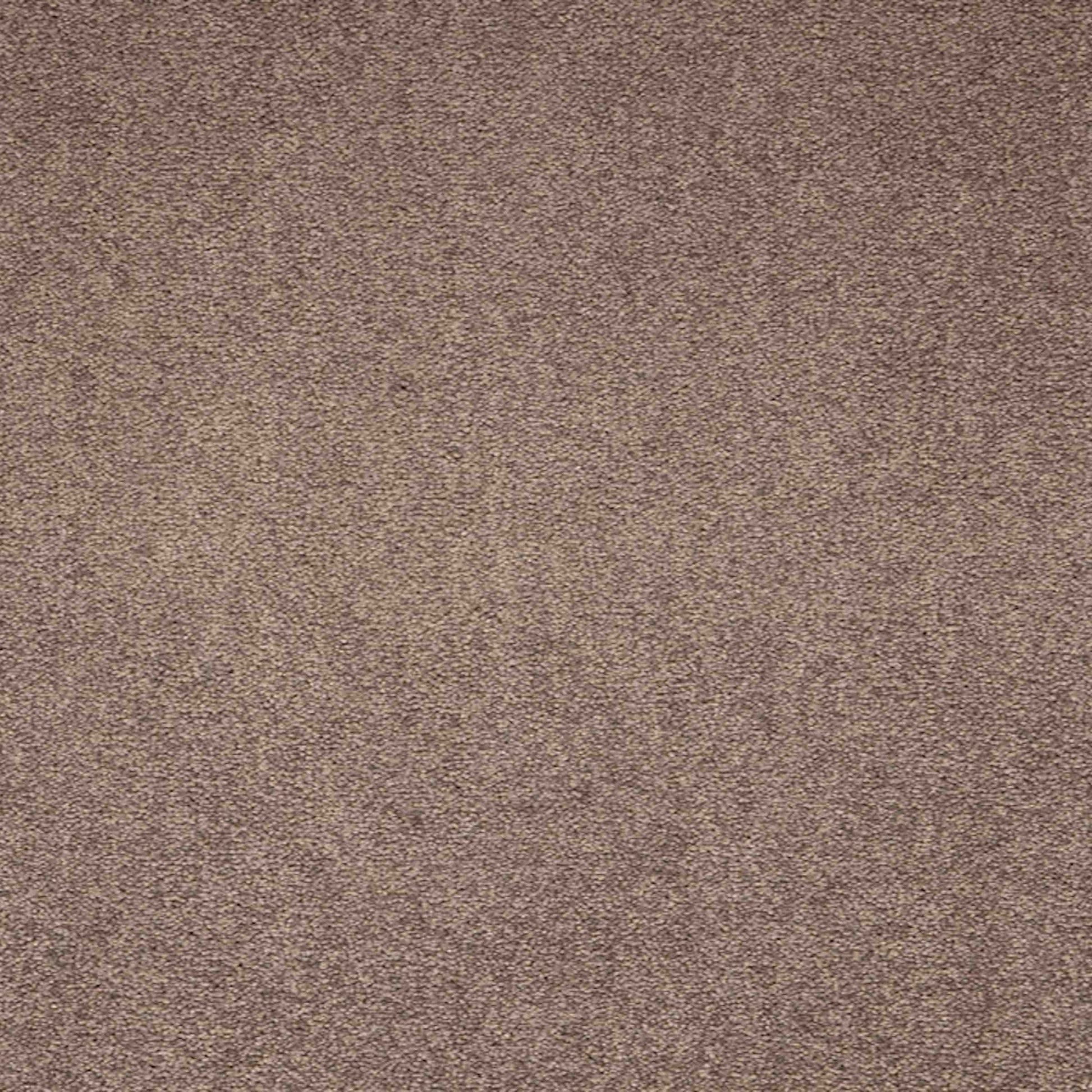 Paragon Maestro Velvet Truffle carpet tile