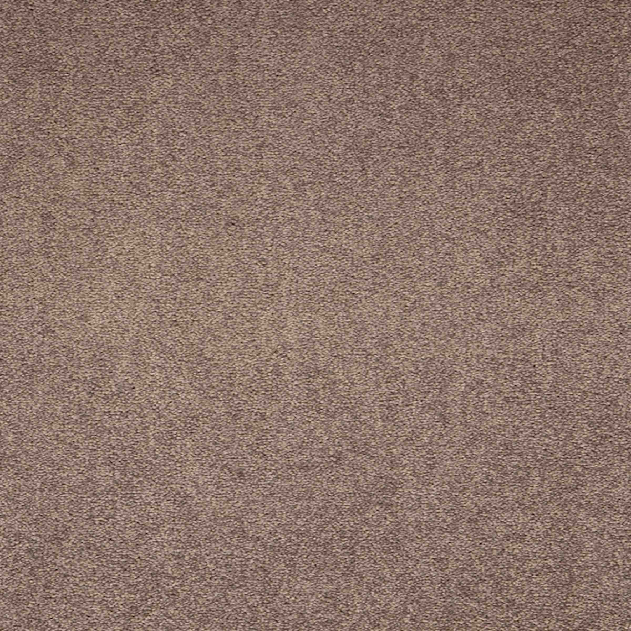 Paragon Maestro Velvet Truffle carpet tile