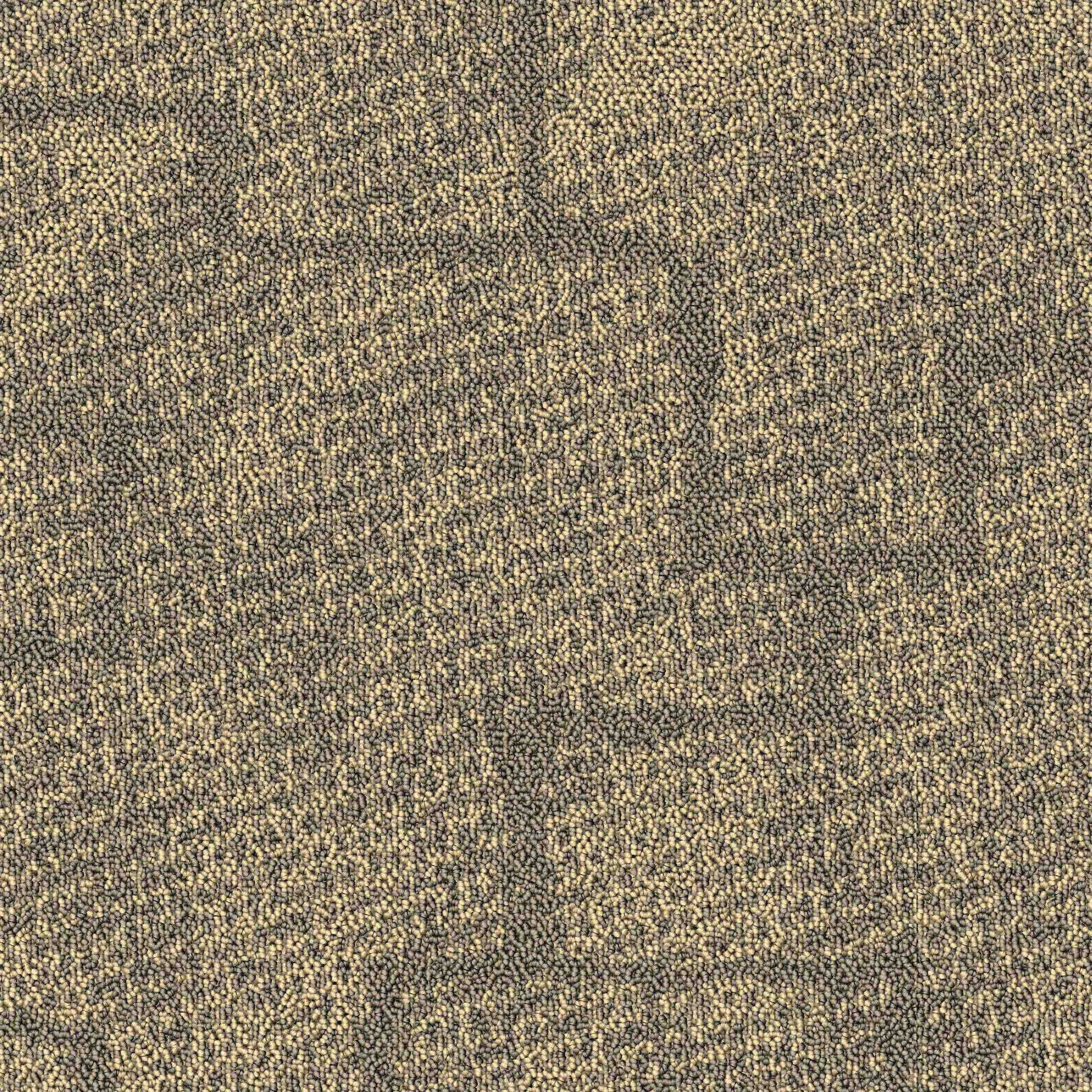 Paragon Mesh Burly Wood carpet tile