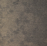 Paragon Vapour Purify carpet tile
