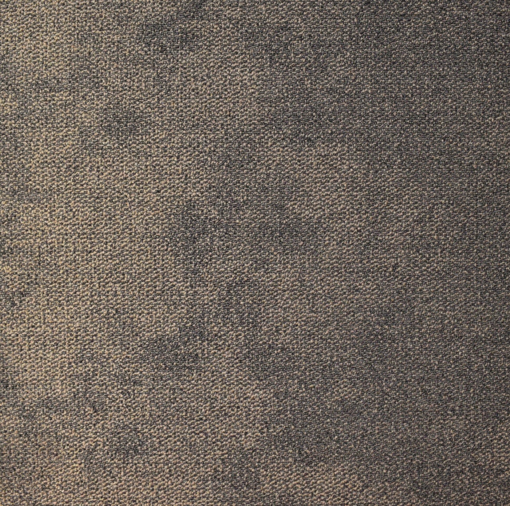 Paragon Vapour Purify carpet tile