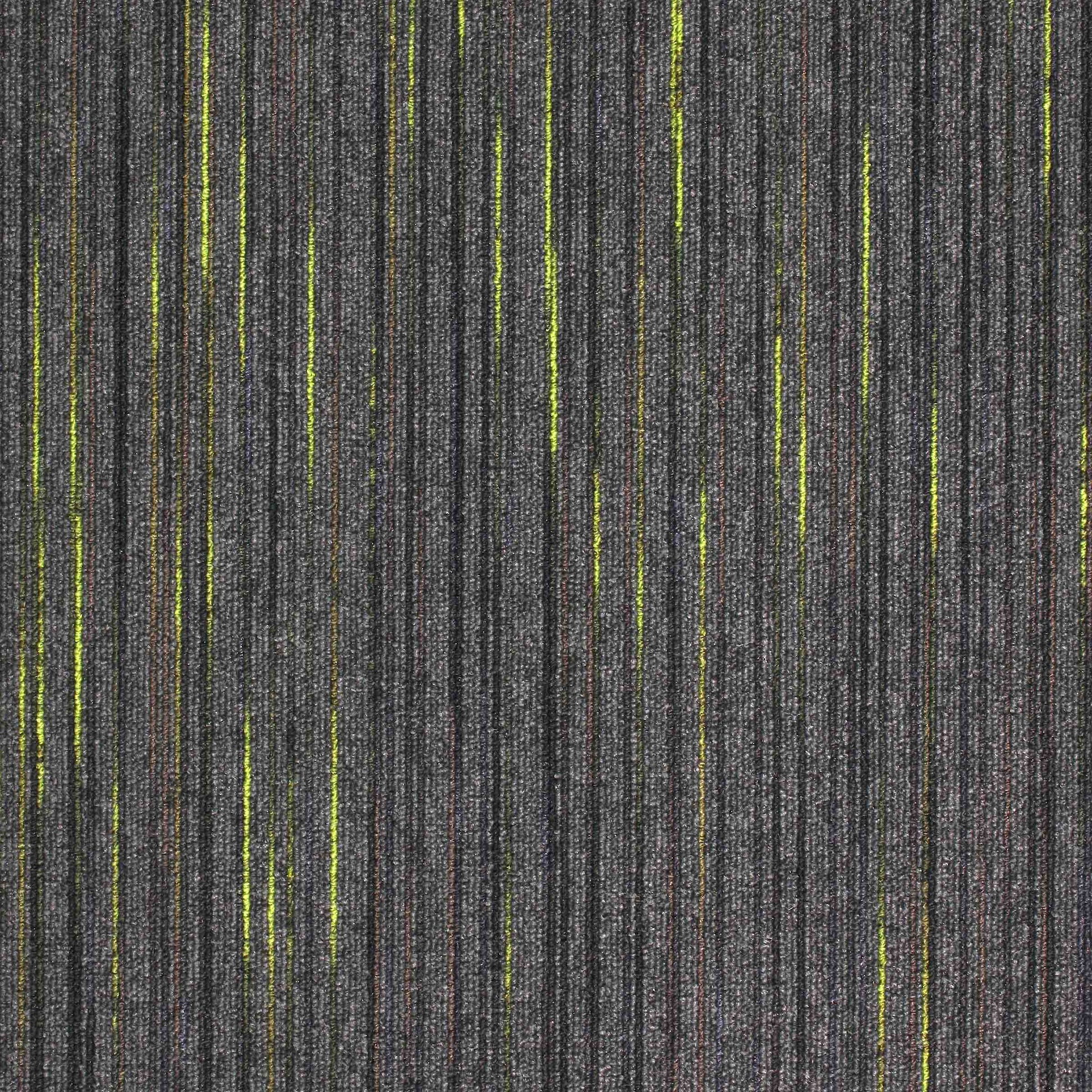 Paragon Strobe Flex carpet tile