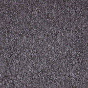 Paragon Toccarre Termi carpet tile