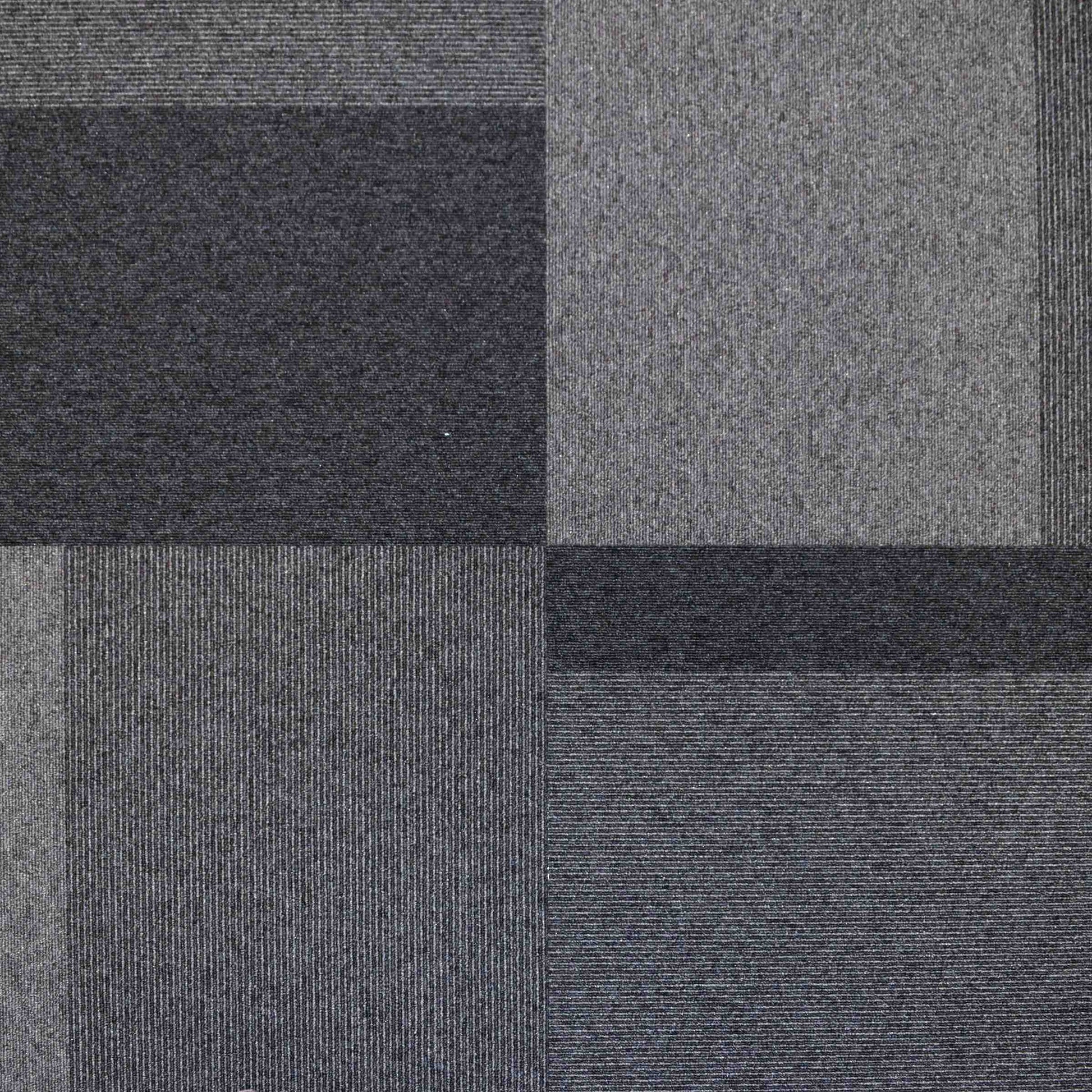 Paragon Total Contrast Palladium Sky carpet tile