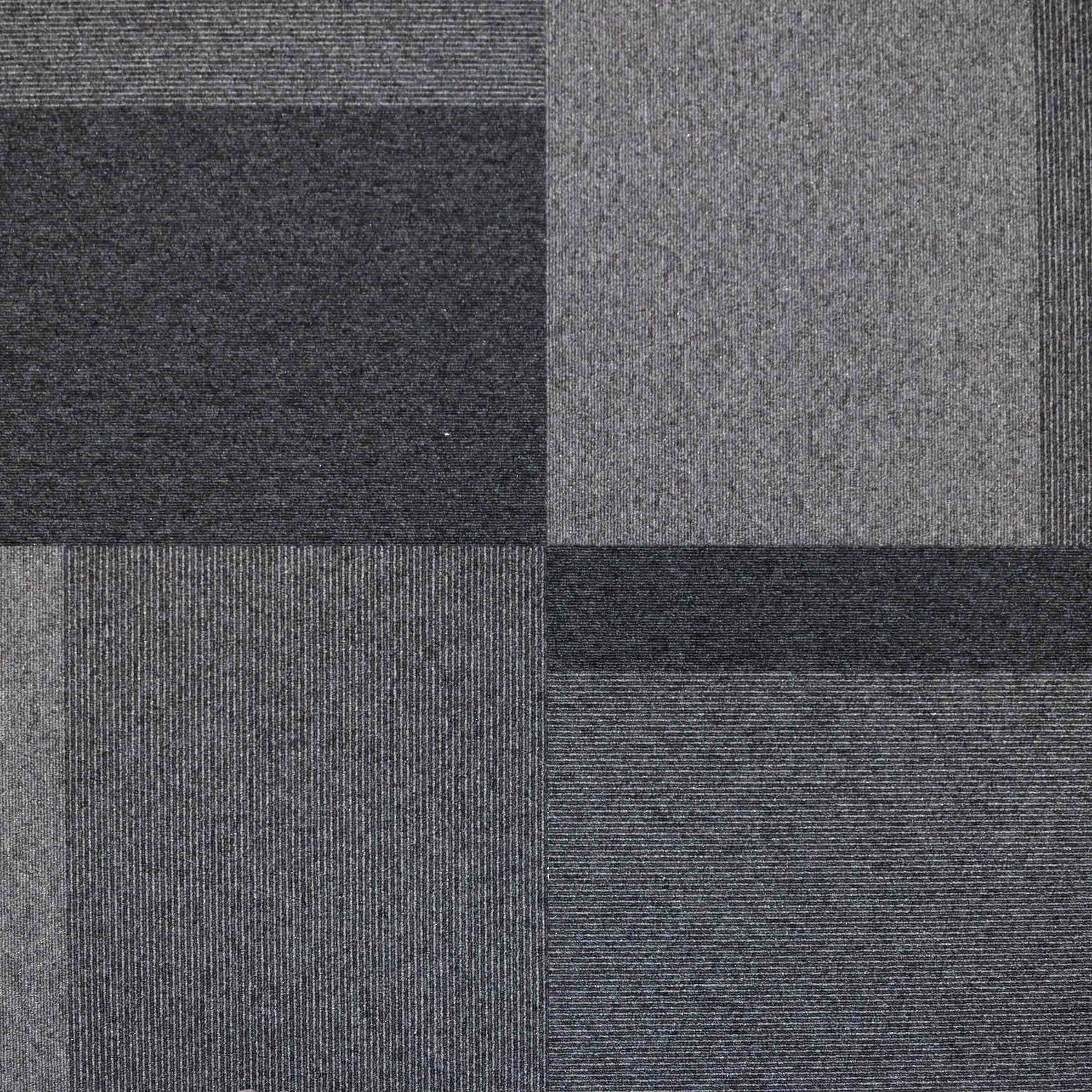 Paragon Total Contrast Palladium Sky carpet tile