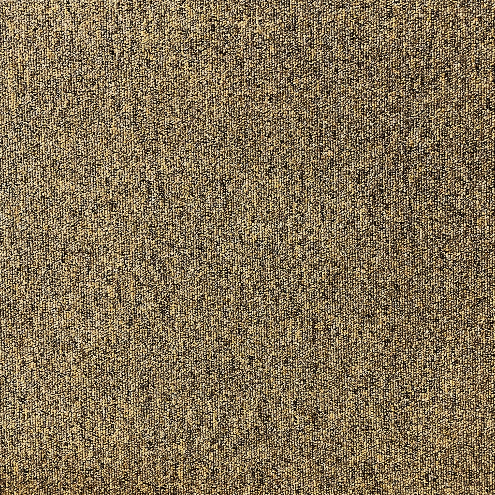 Paragon Vital Oxide carpet tile