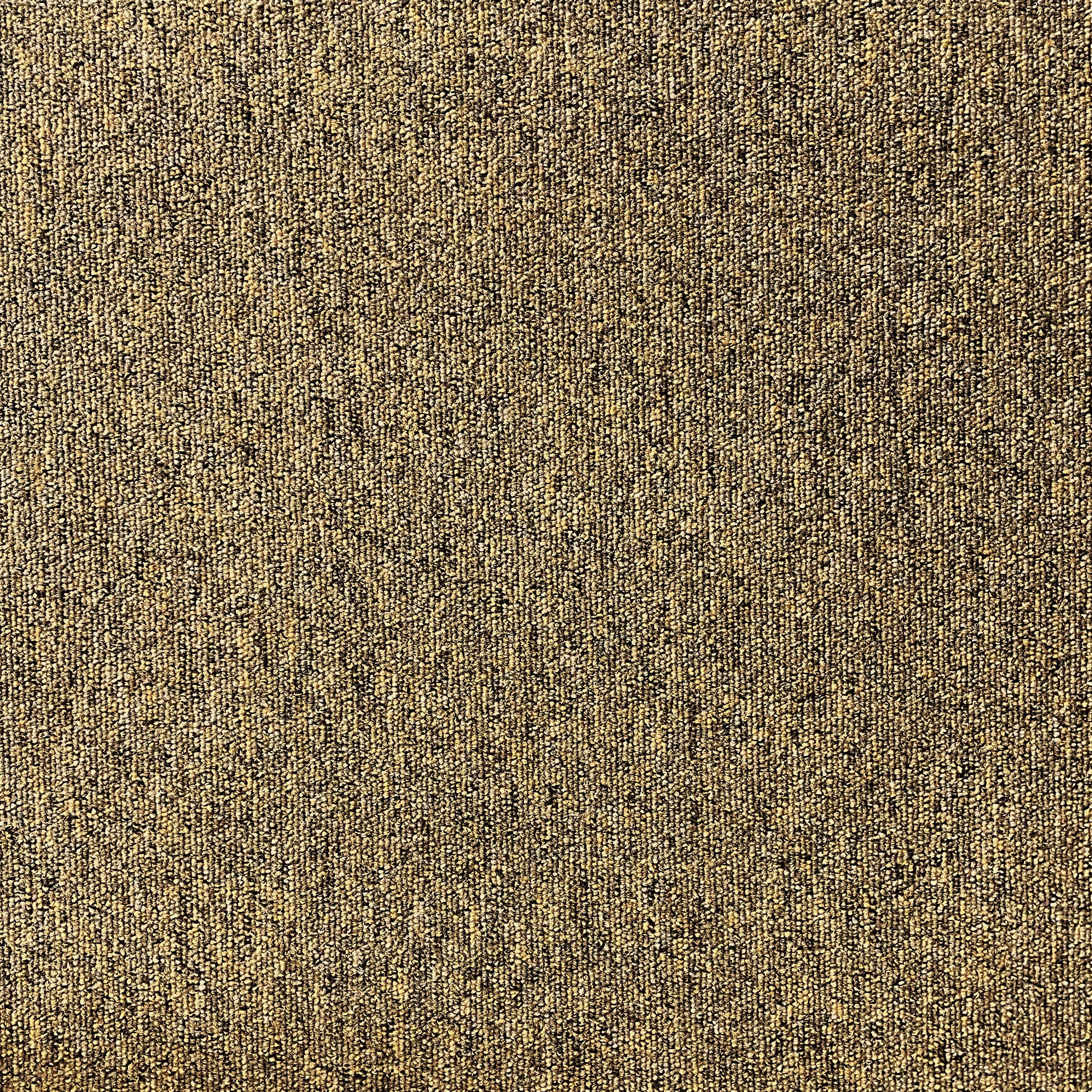 Paragon Vital Oxide carpet tile
