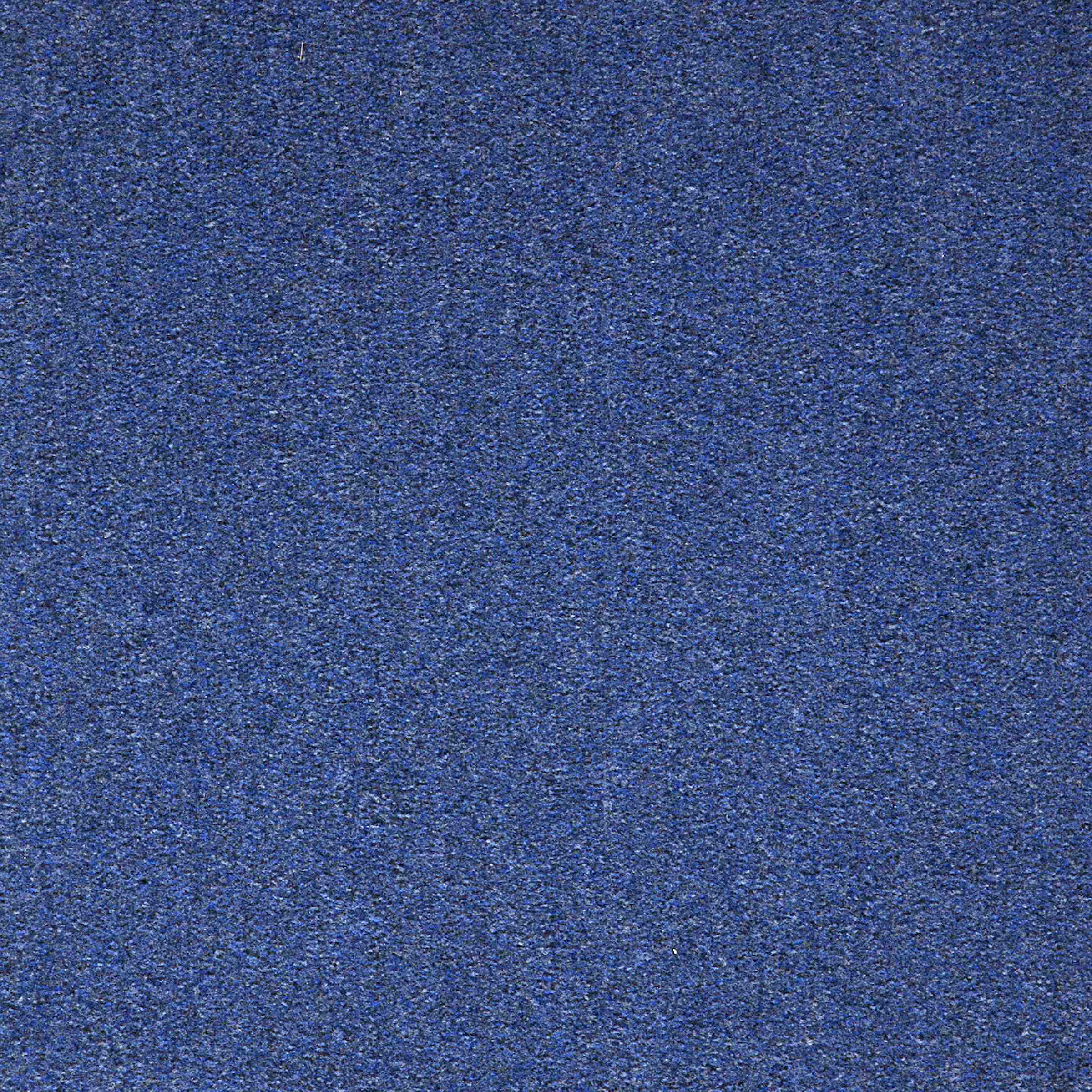 Paragon Workspace Cut Pile Coastal Blue carpet tile