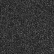Paragon Workspace Loop Charcoal carpet tile
