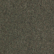Paragon Workspace Loop Pampas carpet tile