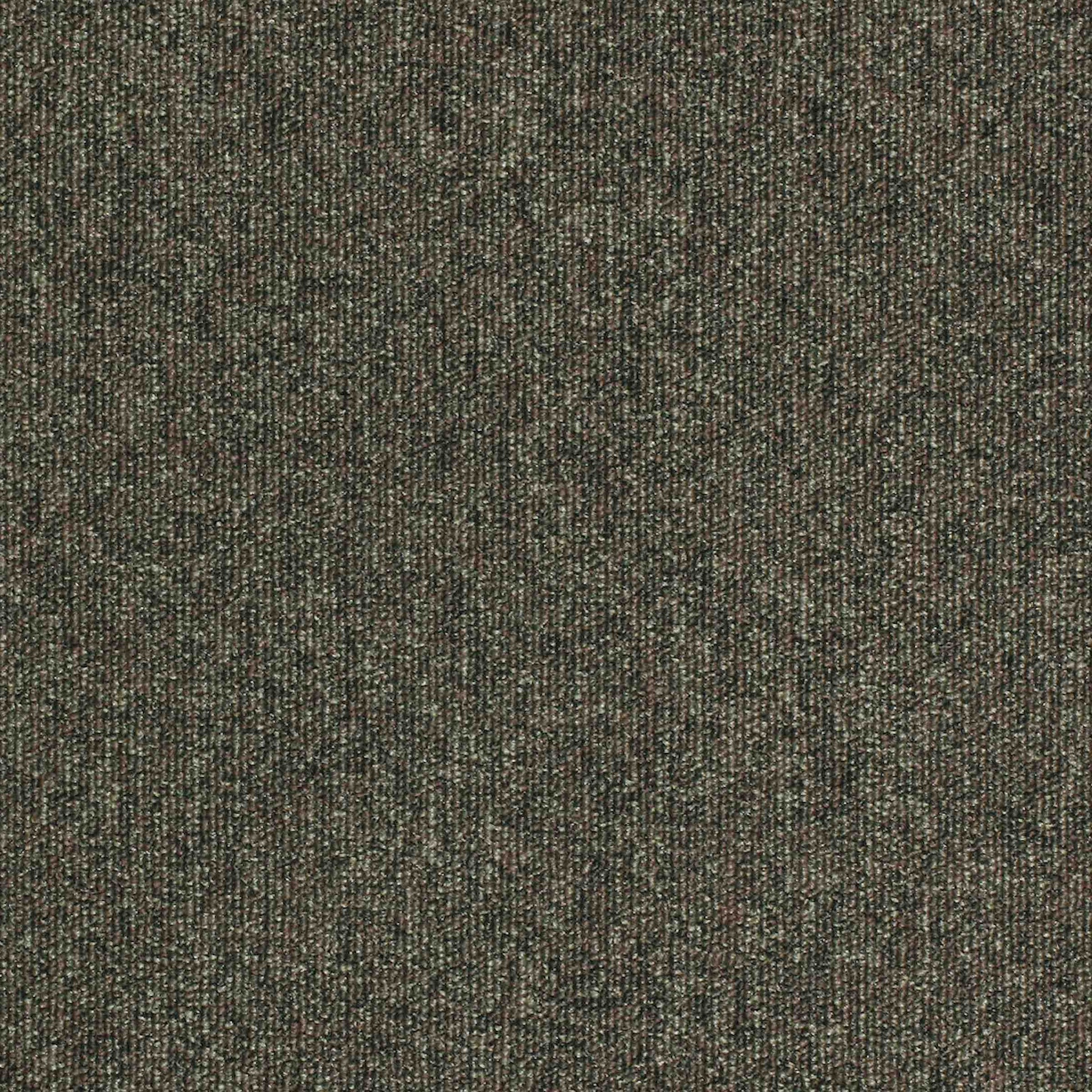 Paragon Workspace Loop Pampas carpet tile