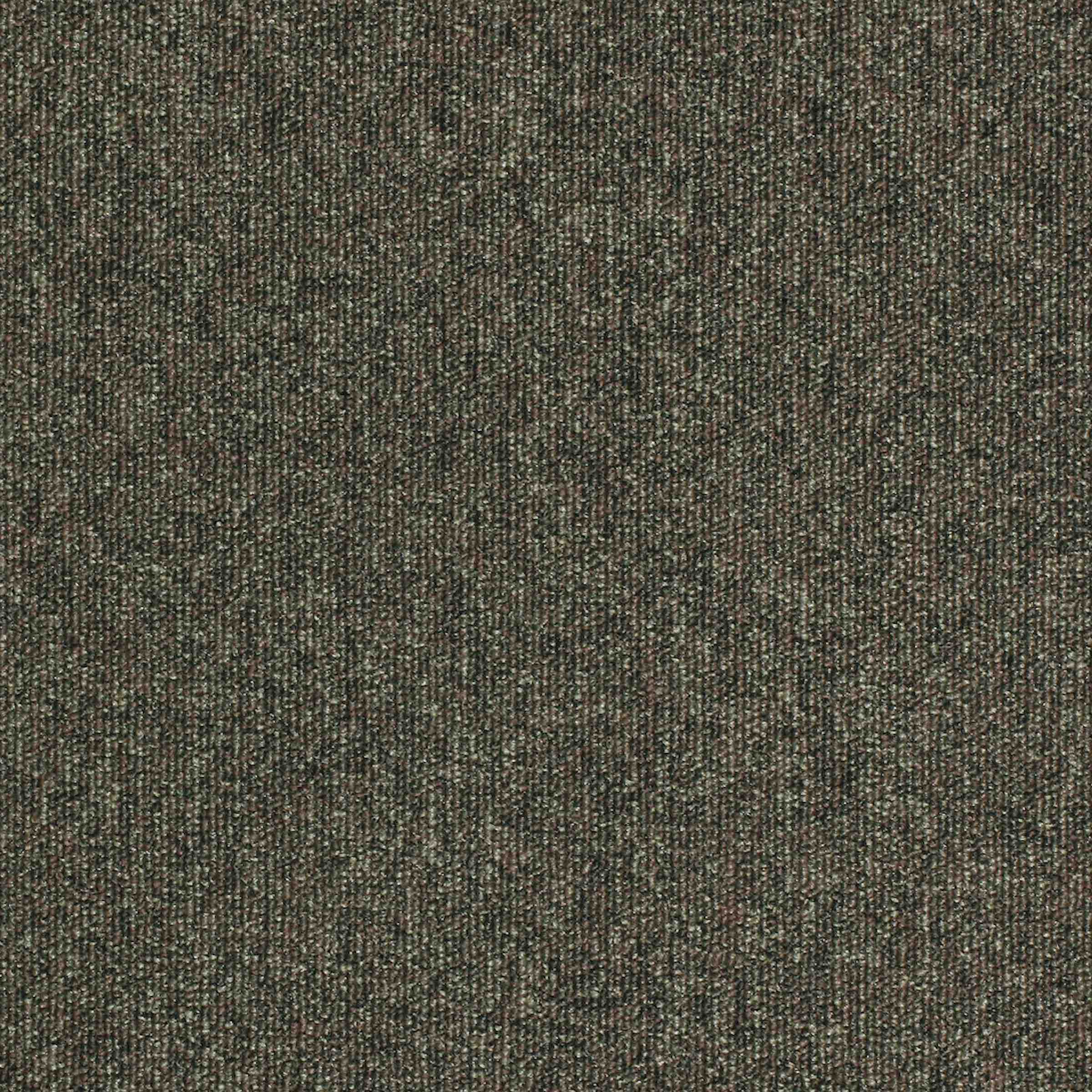 Paragon Workspace Loop Pampas carpet tile
