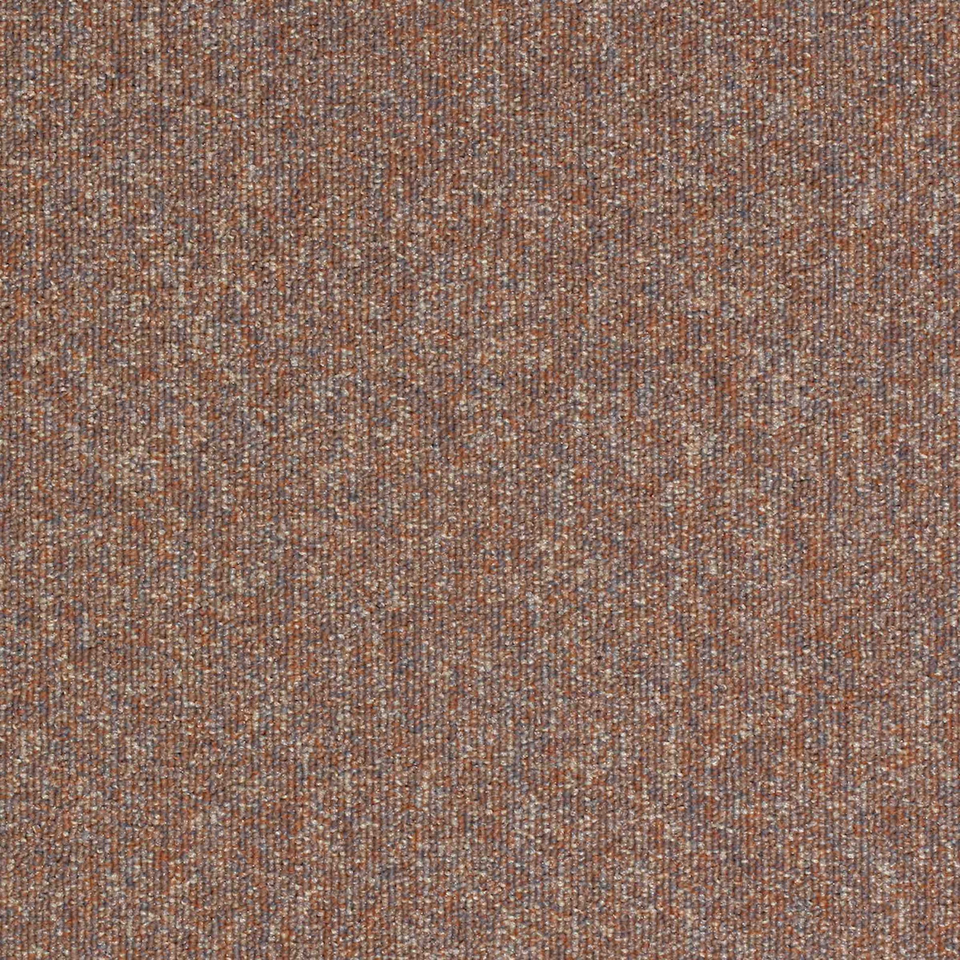 Paragon Workspace Loop Sandstone carpet tile