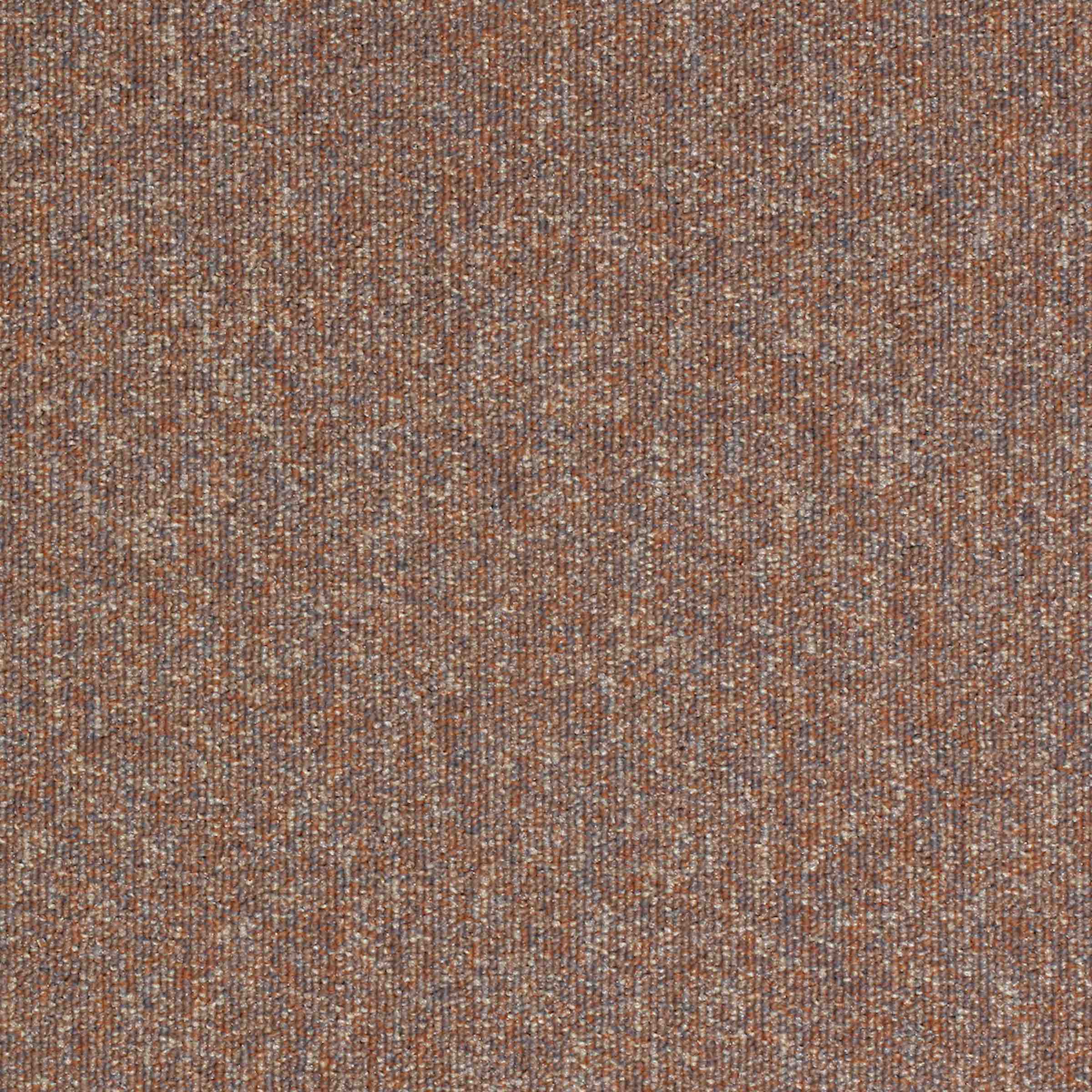 Paragon Workspace Loop Sandstone carpet tile