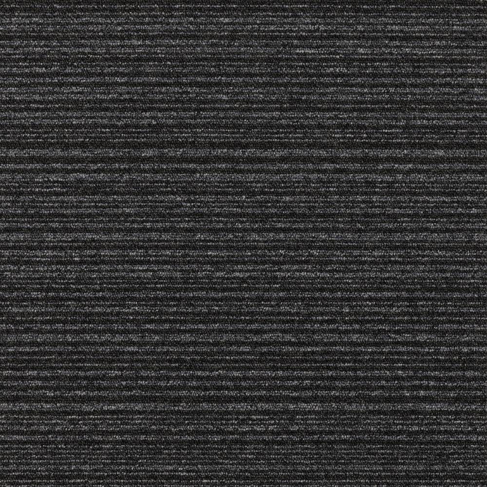 Elemental Loop Stripe - LifeSpace