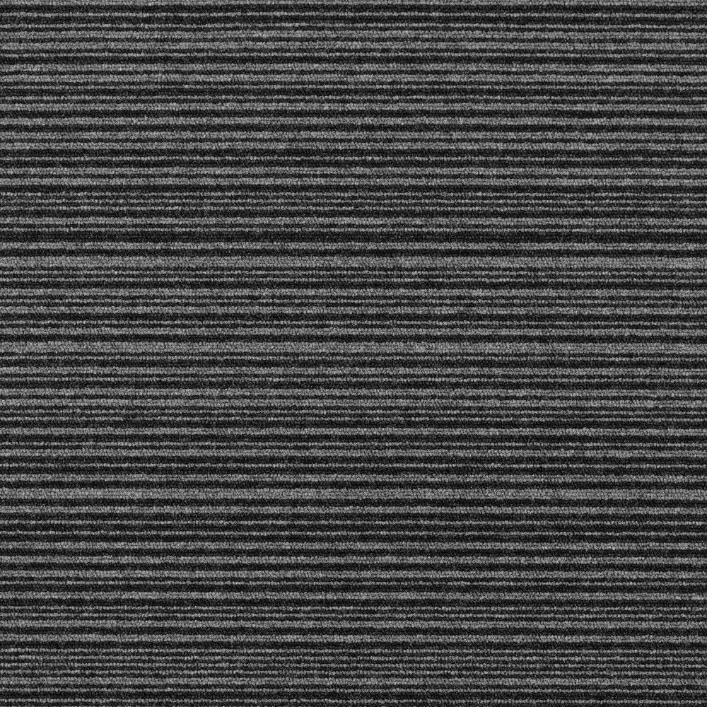Elemental Loop Stripe - LifeSpace