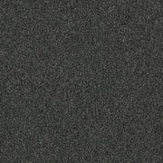 Interface Heuga 727 Panther carpet tile