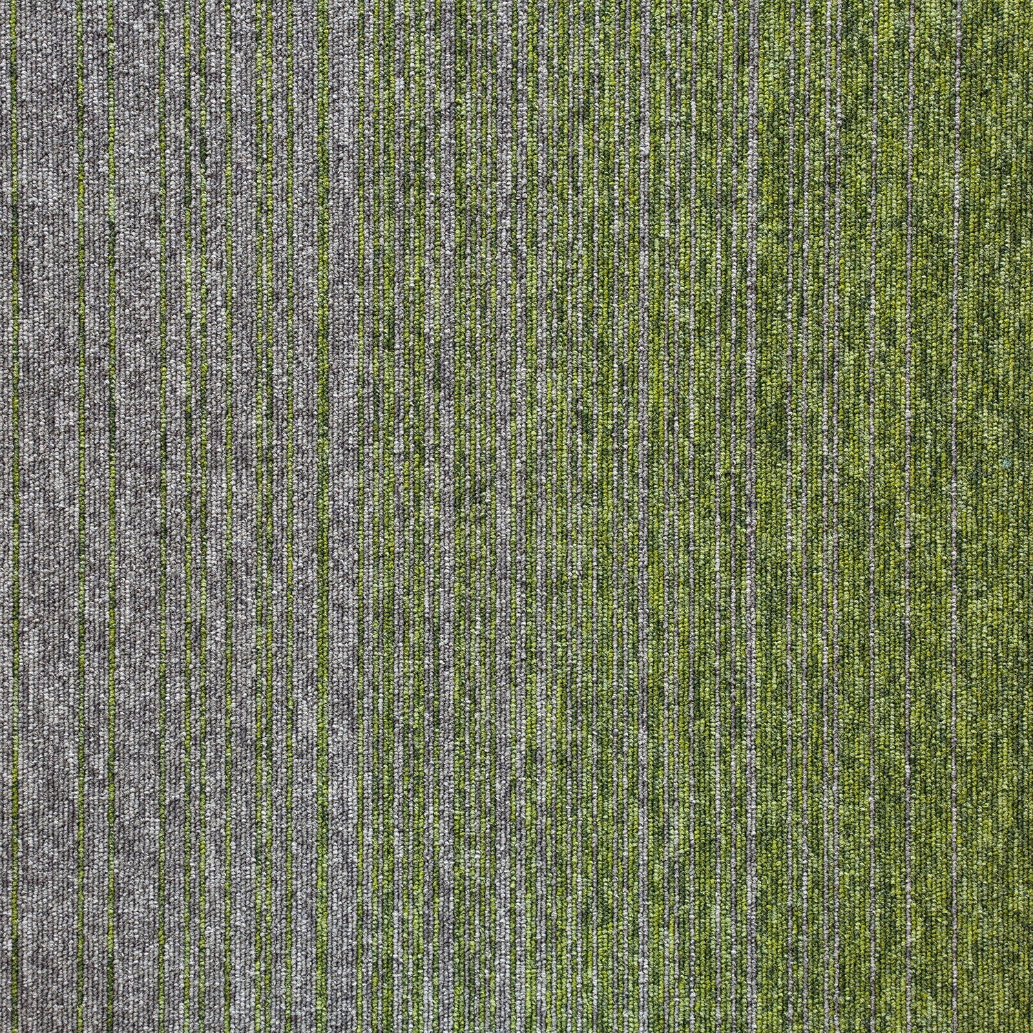 tivoli mist® carpet tiles